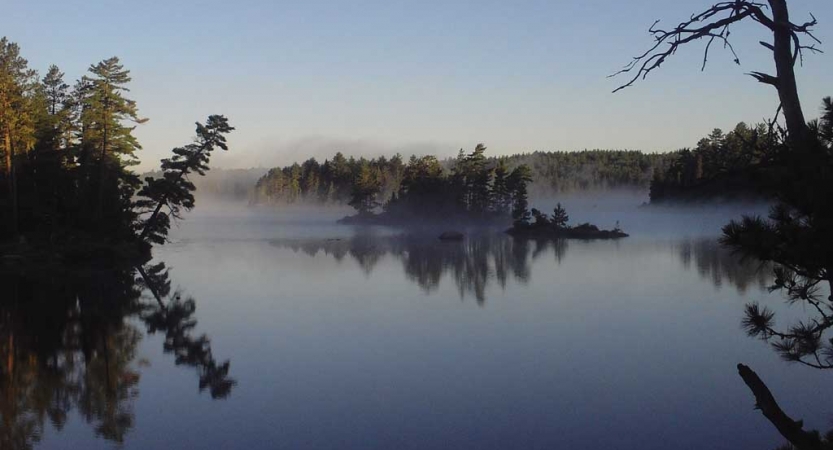 Fog sits on very calm water, reflecting the trees on the shore. 